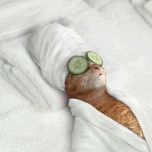 Meet your Posher, Katrina